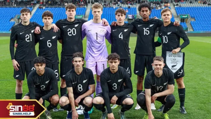 doi hinh new zealand doi hinh new zealand